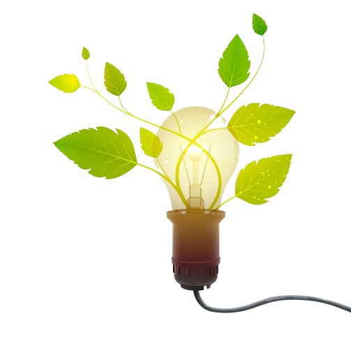 ampoules énergie